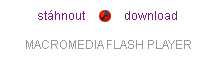 getFlash